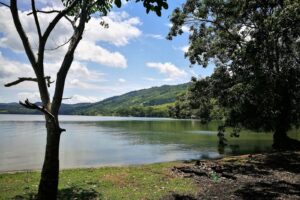 Laguna de Sauce en San Martín, con colinas cubiertas de selva alta y cielo con nubes cerca de Tarapoto