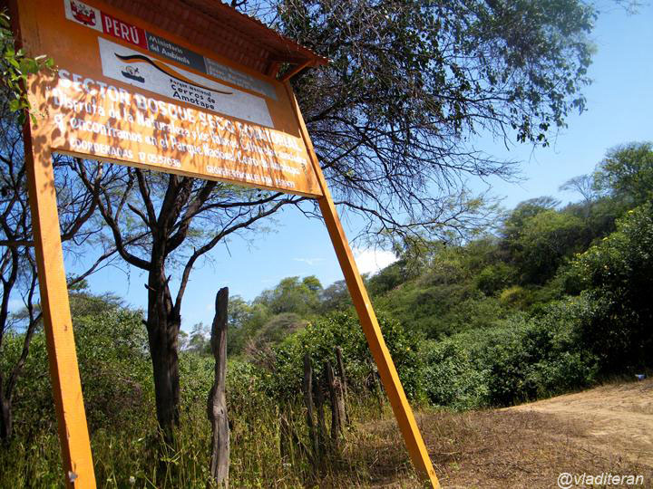 Parque Nacional Cerros de Amotape: letrero de madera de entrada del parque junto a un camino de tierra, con árboles del bosque seco y cielo azul