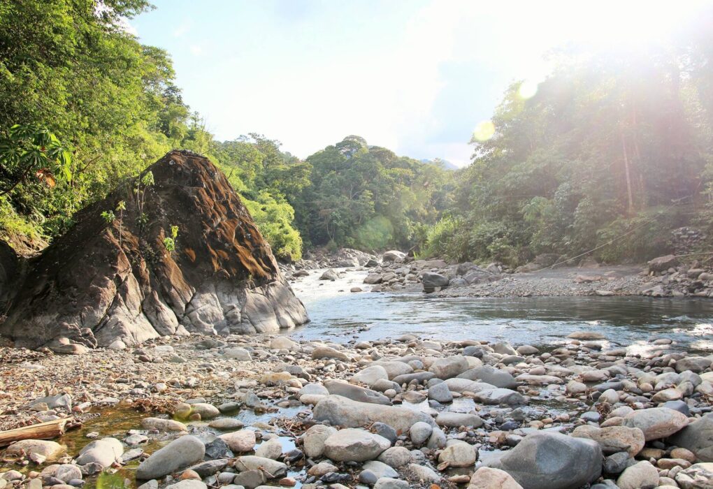Parque Nacional del Manu: río de aguas claras con orillas de piedras redondas, una gran roca a la izquierda y bosque verde denso a ambos lados