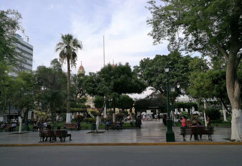 Plaza de Armas de Piura con árboles, bancas y la cúpula de la catedral al fondo