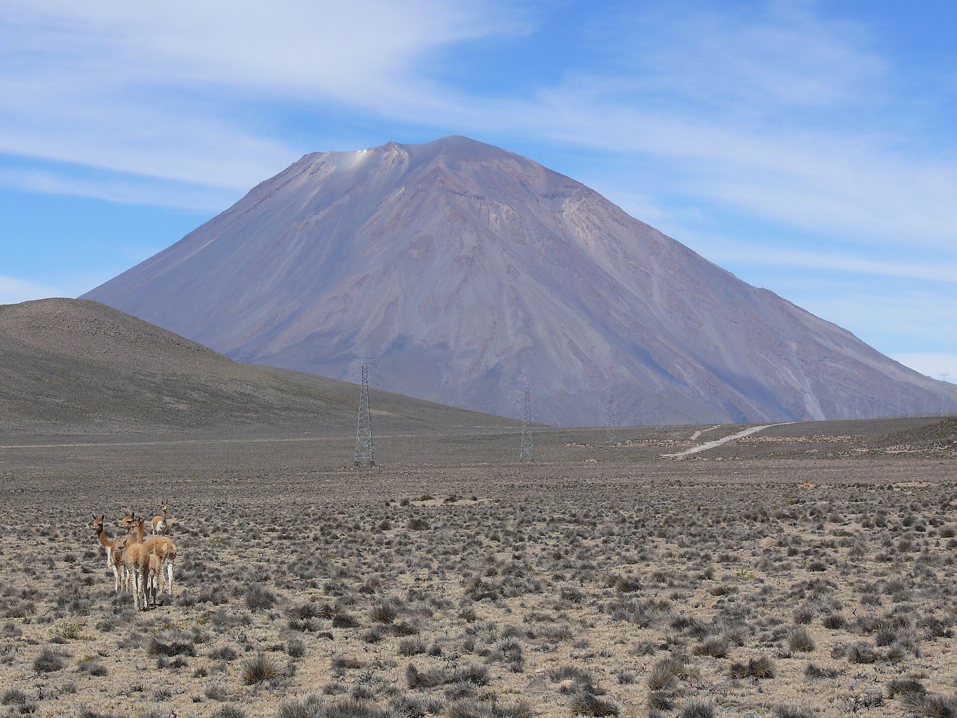 Reserva Nacional de Salinas y Aguada Blanca: guanacos en una pampa de arbustos secos con el volcán Misti al fondo bajo un cielo azul con nubes